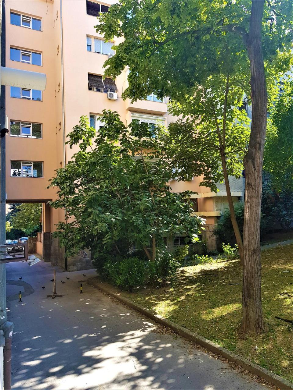 Asya Blue Studio Bělehrad Exteriér fotografie